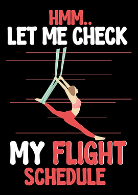 Aerial Silk Aerialist