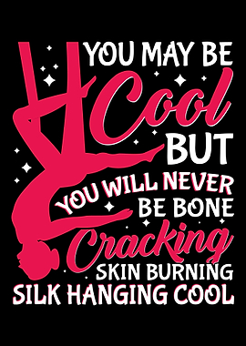 Aerial Silk Aerialist