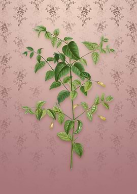 Vintage Tree Fuchsia