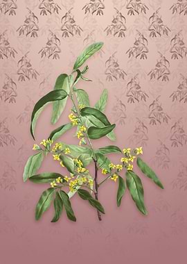 Vintage Russian Olive