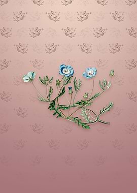 Vintage Shewy Nemophila