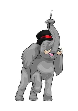 Elephant Magician