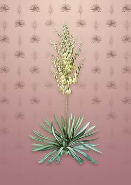 Vintage Adams Needle