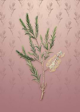 Vintage Swamp Paperbark