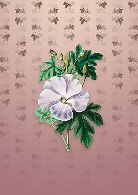 Wrays Hibiscus Flower