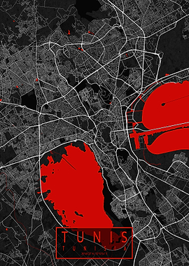 Tunis City Map Oriental