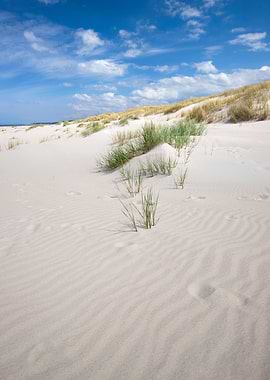 Landscapes with dunes