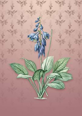 Daylily on Dusty Pink