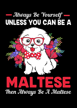 Maltese Funny