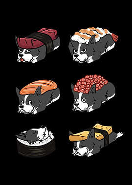Border Collie Sushi