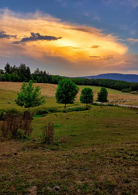 Road field landscape
