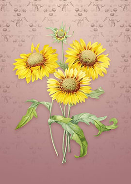 Vintage Blanket Flowers