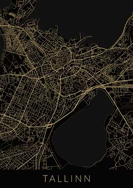 Tallinn Map Black Gold