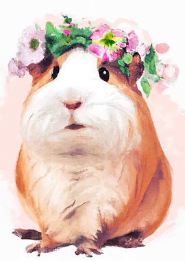 Colorful Guinea Pig