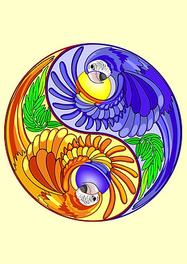 Yin Yang Macaw Parrots