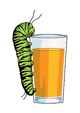 Caterpillar Orange juice