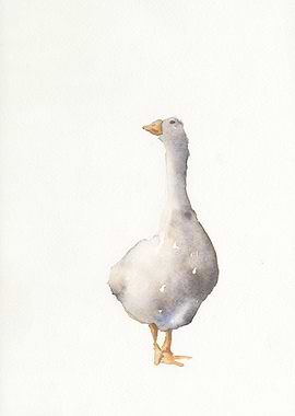 Goose watercolor painting