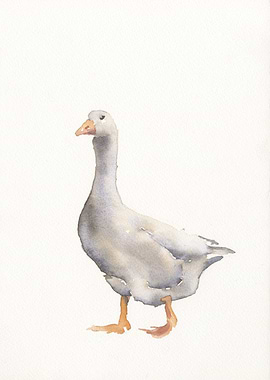 Goose watercolor painting
