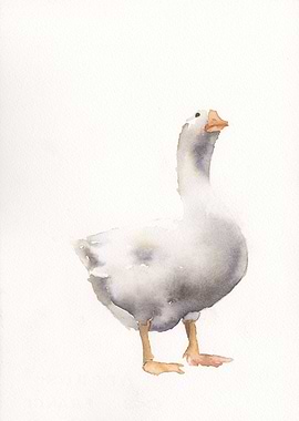 Goose watercolor painting