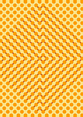 Circle Rectangle Illusion