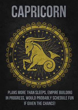 Capricorn Funny Zodiac