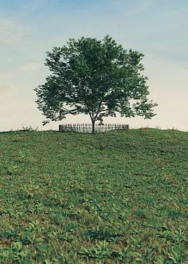 Virtual World Scene 1 3D