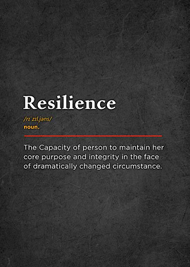 Resilience Definition