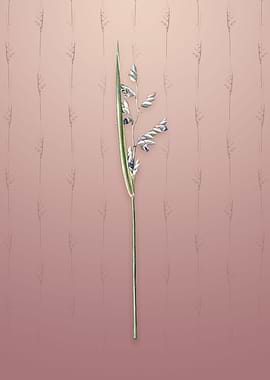 Powdery Alligator Flag