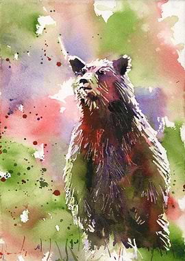 Grizzly Bear art
