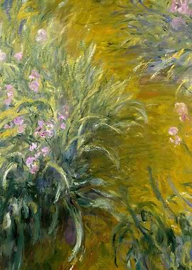 The Path through the Irise