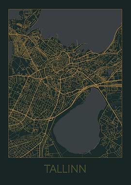 Tallinn Gray Orange Map