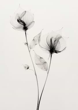 Transparent Botanic No 7