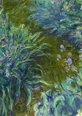 The Path through the Irise