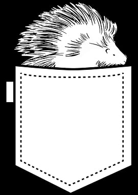 Porcupine Pocket