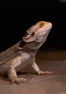 Low Poly Lizard