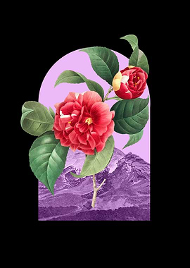 Floral Landscape Camellia