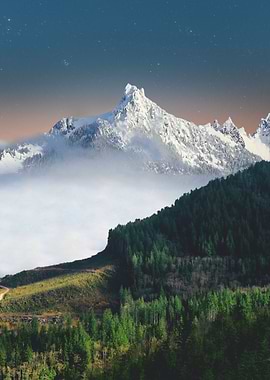 Snowy Mountains in Forest