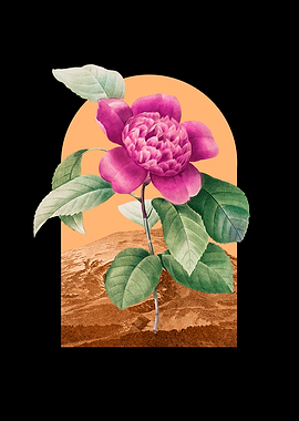 Floral Landscape Camellia