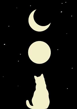 Space Cat 2