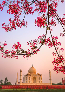 Taj Mahal