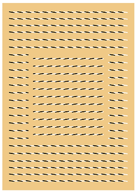 Shake Your Head Illusion