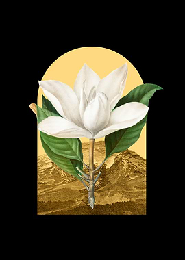 Floral Landscape Magnolia