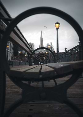 Pier 7 Park Bench View