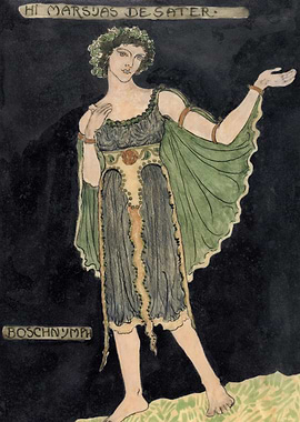 Design of Boschnymph