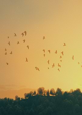 The Bird 3D Surrealism