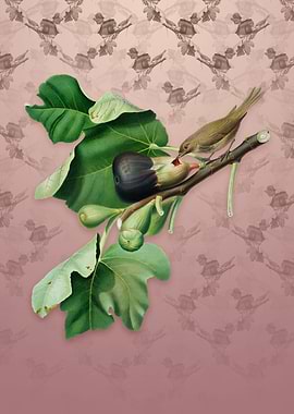 Vintage Fig with Bird