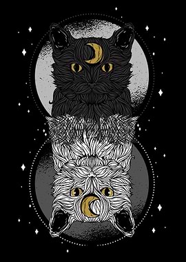 As Above so Below Cat