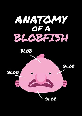 Anatomy Of A Blobfish