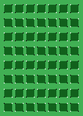 Shape Moving Dots Illusion