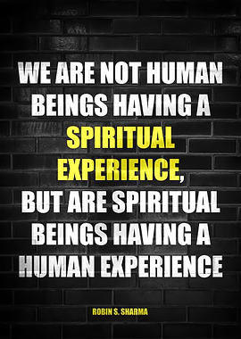 ROBIN S SHARMA QUOTE 14